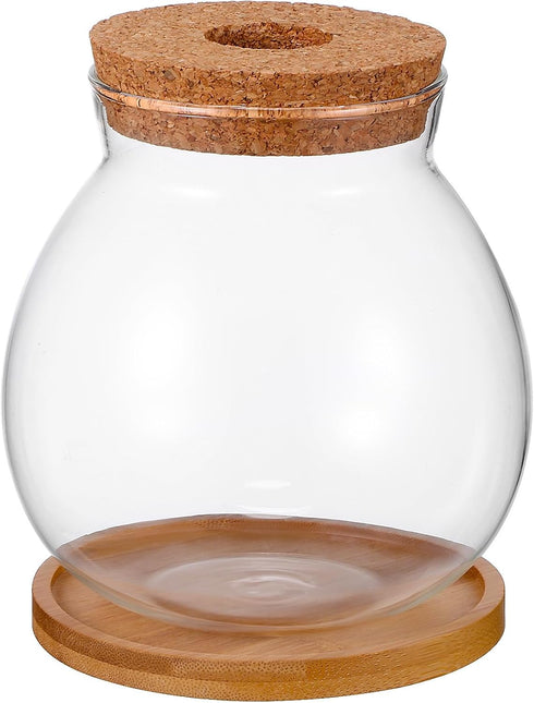 POPETPOP Clear Glass Desktop Fish Bowl with Wood Lid and Bamboo Stand, Hydroponic Planter Vase