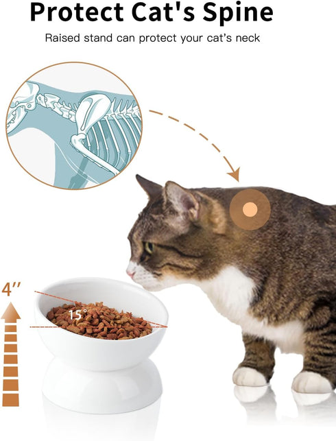 Elevated Cat Water Bowl, 16 OZ Ceramic Dish, 15° Tilted Anti Vomiting Pet Food Bowl for Spines and Whisker Fatigue