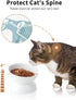 Elevated Cat Water Bowl, 16 OZ Ceramic Dish, 15° Tilted Anti Vomiting Pet Food Bowl for Spines and Whisker Fatigue