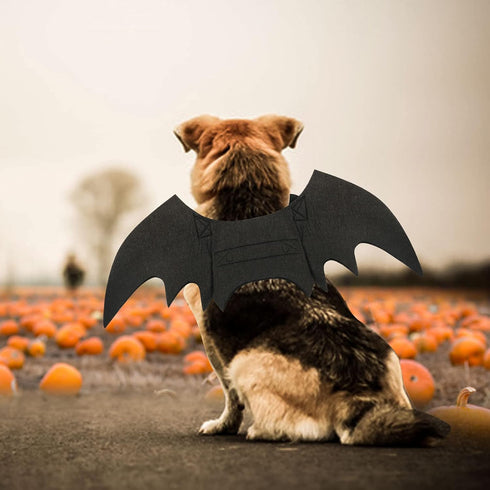 Rypet Dog Bat Costume - Halloween Pet Costume with Bat Wings for Party, M