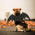 Rypet Dog Bat Costume - Halloween Pet Costume with Bat Wings for Party, M