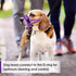 SlowTon Soft Dog Muzzle, Adjustable Padded Nylon Muzzle for Large Medium Dogs, Anti Chewing Barking Biting (Purple, S)