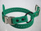 1" Biothane Dog Buckle Bungee Collar with Quick Snap Strap for Remote Trainer (Green)