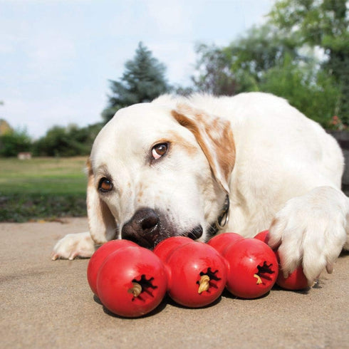 KONG Goodie Ribbon, Stuffable Natural Rubber Dog Toy, Bone-Shaped Chew Toy with Four Fillable Goodie Grippers for Small