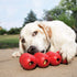 KONG Goodie Ribbon, Stuffable Natural Rubber Dog Toy, Bone-Shaped Chew Toy with Four Fillable Goodie Grippers for Small