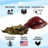 Max and Neo Freeze Dried Bison Liver Dog Treats, Single Ingredient, Free Range North American Bison