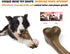 Tough Dog Toys for Aggressive Chewers, Indestructible Nylon Bones, Durable Puppy Teething Toys, Interactive Toys for