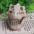 Opexicos 2Pcs Resin Dinosaur Skull Aquarium Decoration - 8.5 x 5.5 x 4.5 cm Terrarium Reptile Ornament