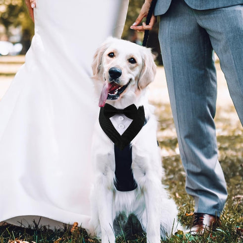 Dog Wedding Bandana, Formal Adjustable Pet Collar with Bow for Small, Medium, Large Dogs, Birthday Gifts (Small, Black)