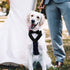 Dog Wedding Bandana, Formal Adjustable Pet Collar with Bow for Small, Medium, Large Dogs, Birthday Gifts (Small, Black)