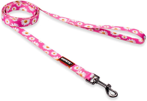 QQPETS Adjustable Dog Harness Leash Set, Heavy Duty No Pull Halter for Small Medium Large Dogs, Back Clip, Anti-Twist,