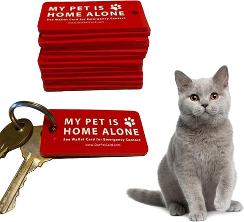 Dog Cat are Home Alone Alert Card & Key Tags with Contact Call Cards Pet Contact Keychain Pet Home Alone Keychain Card Key Tags Collars, Harnesses and Leashes ID Tags and Collar Accessories by Calsgkspray