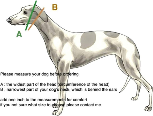 Extra Soft Martingale Dog Collar and Leash Set for Greyhound Saluki Whippet and Similar Breeds, 2'' Wide (M 11''-14'')