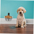 Stainless Steel Hanging Dog Bowls, Wall-Mounted Food Dispenser, Collapsible Dog Bowl Set