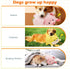 2024 Eadwe Cute Plush Dog Toy, New Durable Squeaky Pig Sound Toy for Dogs, Fun and Engaging Chew Toy for French