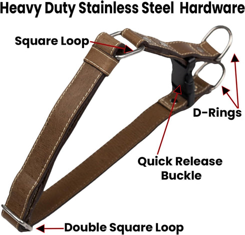 Leather Quick Release Dog Collar - Handcrafted Full Grain Leather with Stainless Steel Hardware - Stone, Medium