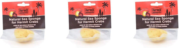 Fluker's Natural Sea Sponge for Hermit Crabs (3 Pack)