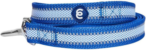 Blueberry Pet Essentials Reflective Better Basics Dog Leash, Navy Blue, 5 ft x 3/4", Medium Leash for Dogs