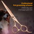 Fenice Peak Straight Dog Grooming Scissors, Champagne Gold 440C Stainless Steel for Dogs and Cats