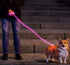 Nitey Leash - LED Glow in The Dark Pet Dog Leash, 5 Feet, Pink