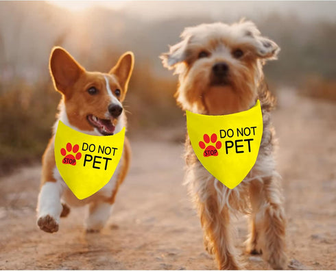 JXGZSO 1 Piece Stop Dot Not Pet Bandana, Do Not Distract Dog, No Touch No Talk