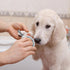 KoMvzyl 20 Trimmer Pcs Cat Nail Clipper Bulk Kitten Claw Pet Nail Cutter Claw Care for Cats, Kittens, Bunny, Puppy