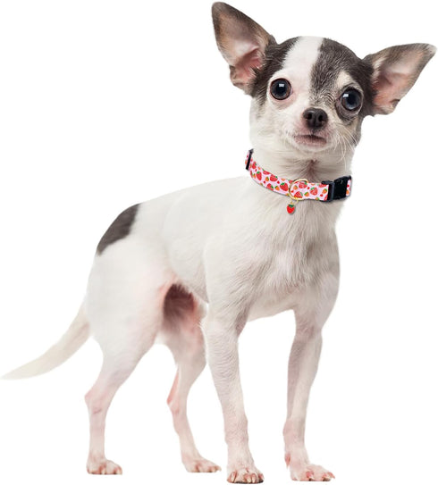 Cute Pink Strawberry Dog Collar for Small Medium Large Dogs, Soft Adjustable Design for Girl Female Dogs