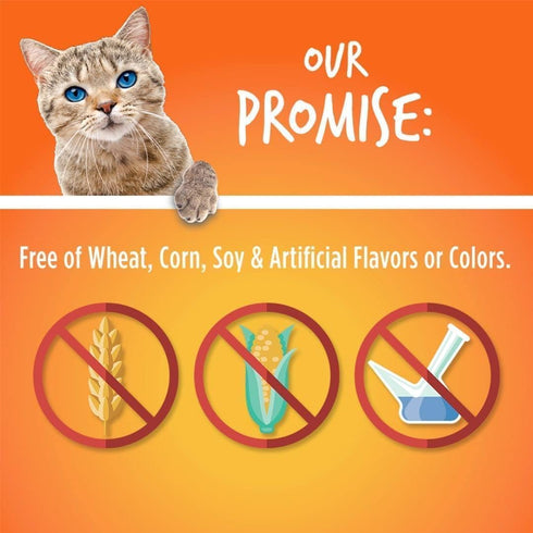 Fruitables Cat Treats | Crunchy Low Calorie Treats for Cats | Made with Real Tuna and Pumpkin | 2.5 oz (5 pk)