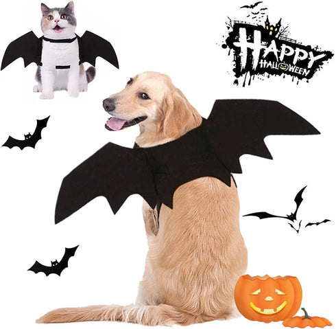 Halloween Costumes - Bat Wings for Small, Medium & Large Dogs & Cats | Funny Pet Apparel, Cosplay Clothes (M)
