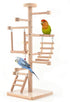 UANLANT Bird Playground Parrots Play Stand Parakeets Play Gyms Set Toy Birdcage