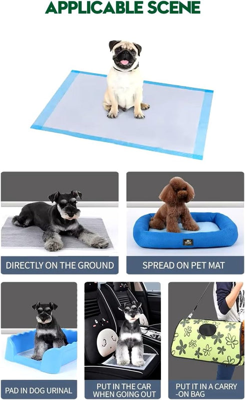 Generic 50 Count, 2222 5-Layer Pet Potty Training Pads for Cats & Dogs Super-Absorbent Leak-Proof, Quick-Dry Surface