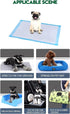 Generic 50 Count, 2222 5-Layer Pet Potty Training Pads for Cats & Dogs Super-Absorbent Leak-Proof, Quick-Dry Surface