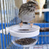 4 pcs Detachable Transparent Bowls for Canary Finch Parrot Seed and Water Feeder