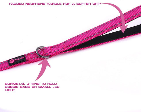 Max and Neo Small Dog Reflective Nylon Leash - We Donate a Leash for Every Purchase, BLUE