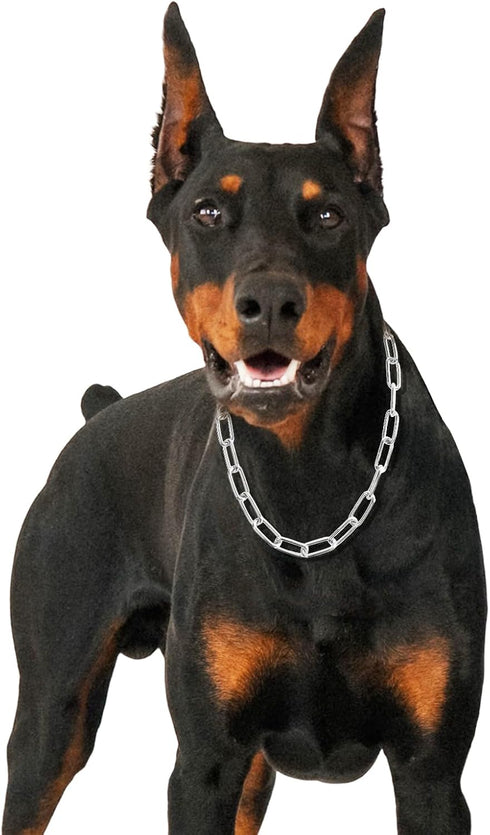 Silver Dog Chain Collar, Heavy Duty Chew Proof Stainless Steel Long Link Fur Saver Training Collar for Small Medium Dogs