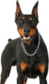 Silver Dog Chain Collar, Heavy Duty Chew Proof Stainless Steel Long Link Fur Saver Training Collar for Small Medium Dogs