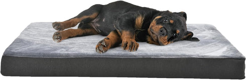 Amazon Basics Gel Foam Dog Pet Bed with Removable Cover, Large, 35.0" L x 22.0" W x 3.0" Th, Grey