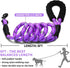COOYOO Dog Leash, 5/6 FT with Comfortable Padded Handle and Highly Reflective Threads for Small Medium Large Dogs