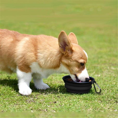 Dog Bowl Pet Collapsible Bowls, 2 Pack Portable Foldable Travel Bowls for Dogs Cats and Small Animals