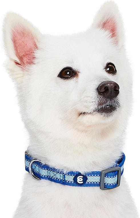Blueberry Pet Essentials Pack of 2 Reflective Adjustable Dog Collars, Navy Blue, Large, Neck 18"-26"