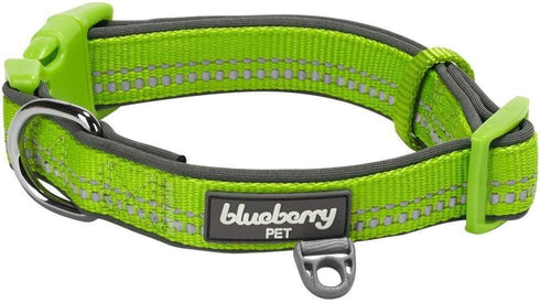 Blueberry Pet Dog Collar, Adjustable Reflective Collar for Small Dogs, Neoprene Padding, Green Flash, 12"-16"