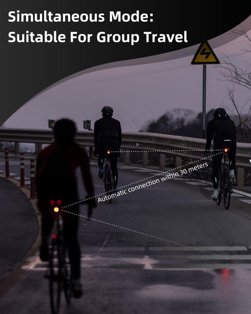 Rechargeable,IPX6 ROCKBROS Bike Tail Light Smart Brake Sensing Rear Bike Light Led Bike Lights,Type C USB Waterproof