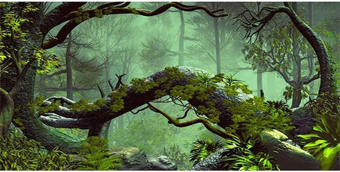 AWERT 72x24 inches Foggy Forest Terrarium Background Durable Polyester Background