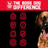 Boss Dog Tactical Collar, Red, Large
