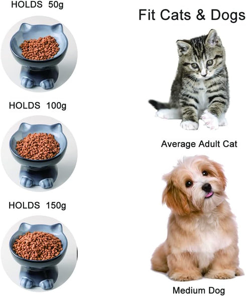 Nihow Elevated Cat/Dog Bowls: 6.25 Inch Ceramic Raised Food & Water Bowl Set for Small Dogs and Cats - Elegant Gray