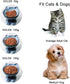 Nihow Elevated Cat/Dog Bowls: 6.25 Inch Ceramic Raised Food & Water Bowl Set for Small Dogs and Cats - Elegant Gray