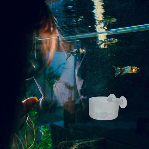 10pcs Fish Tank Planter Decor, Acrylic Plant Cup Holders for Fish Tank Supplies and Bait Feeder
