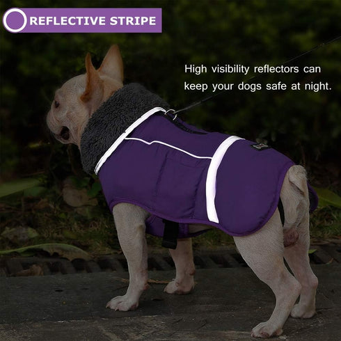 QBLEEV Warm Dog Coat Reflective Jacket, Waterproof Winter Coat for Cold Weather, Thick Fleece Snowsuit for Dogs