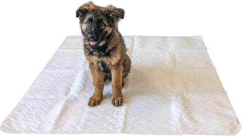 Midlee 47" x 47" Dog Pee Pad, Pack of 2, Washable & Reusable Large Puppy Potty Training Pad