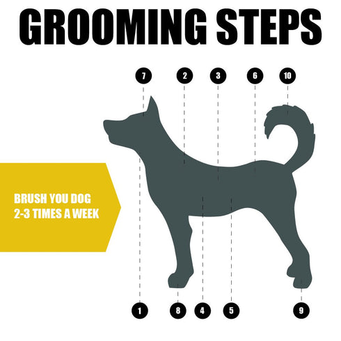 BV Pet Grooming Bristle and Pin Comb Brush, Black and Blue, for All Breeds, Removing Shedding Hair for Dogs and Cats
